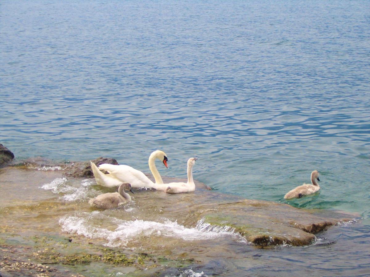 Hotel Residence Villa Beatrice Brenzone sul Garda Eksteriør billede